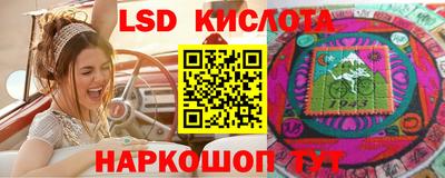 Альфа ПВП Камышлов