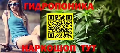 Альфа ПВП Камышлов