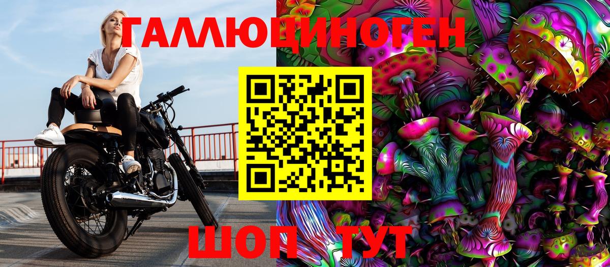 Галлюциногенные грибы Psilocybe Владимир