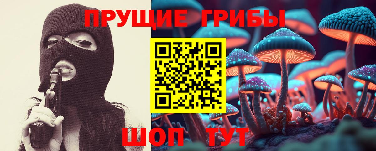 где купить   Галлюциногенные грибы мицелий  Владимир  Вход с VPN  Псилоцибиновые грибы мицелий 